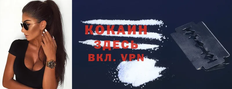 Cocaine Fish Scale  Казань 